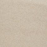 Load image into Gallery viewer, Shaw Always Ready II — Boutique 00191 carpet

