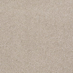 Load image into Gallery viewer, Shaw Always Ready II — Balanced Beige 00193 carpet
