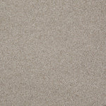 Load image into Gallery viewer, Shaw Always Ready II — Studio Taupe 00194 carpet
