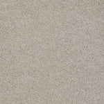 Load image into Gallery viewer, Shaw Always Ready II — Realist 00196 carpet
