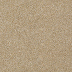 Load image into Gallery viewer, Shaw Always Ready II — Gold Rush 00290 carpet
