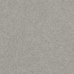 Load image into Gallery viewer, Shaw Always Ready II — Vapor 00570 carpet
