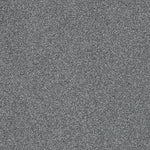 Load image into Gallery viewer, Shaw Always Ready II — Harbor 00571 carpet
