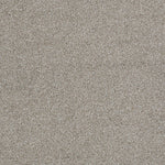Load image into Gallery viewer, Shaw Always Ready II — Crystal Haze 00590 carpet
