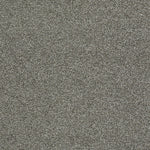Load image into Gallery viewer, Shaw Always Ready II — Washed Gray 00593 carpet
