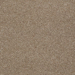 Load image into Gallery viewer, Shaw Always Ready II — Summerville 00790 carpet
