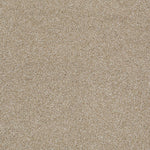 Load image into Gallery viewer, Shaw Always Ready II — Biscotti 00791 carpet
