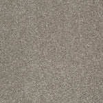 Load image into Gallery viewer, Shaw Always Ready II — Arrowhead 00792 carpet
