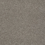 Load image into Gallery viewer, Shaw Always Ready II — Flint Stone 00793 carpet

