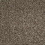 Load image into Gallery viewer, Shaw Always Ready II — Cobble Brown 00798 carpet
