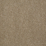 Load image into Gallery viewer, Shaw Always Ready II — Warmth 00799 carpet
