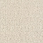 Load image into Gallery viewer, Shaw Complete Control - Alabaster (00172) - E9722-00172

