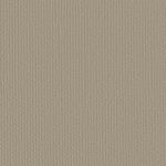 Load image into Gallery viewer, Shaw Complete Control - Studio Taupe (00173) - E9722-00173
