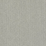 Load image into Gallery viewer, Complete Control Shaw nylon carpet
