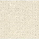 Load image into Gallery viewer, Shaw Alluring Disposition — Ivory Paper 00180 carpet
