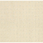 Load image into Gallery viewer, Shaw Alluring Disposition — Treasure 00181 carpet

