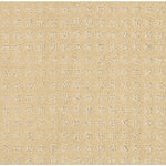 Load image into Gallery viewer, Shaw Alluring Disposition — Golden Rule 00185 carpet

