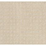 Load image into Gallery viewer, Shaw Alluring Disposition — Barista 00191 carpet
