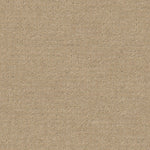 Load image into Gallery viewer, Shaw Alluring Disposition — Espresso 00192 carpet
