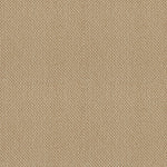 Load image into Gallery viewer, Shaw Smart Thinking - Golden Rule (00185) - E9725-00185
