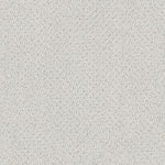 Load image into Gallery viewer, Shaw Smart Thinking - Silver Charm (00560) - E9725-00560
