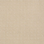 Load image into Gallery viewer, Shaw The Fair - Airy White (00100) - EA023-00100
