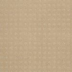 Load image into Gallery viewer, Shaw The Fair - Abalone (00101) - EA023-00101
