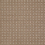 Load image into Gallery viewer, Shaw The Fair - Chameleon (00104) - EA023-00104
