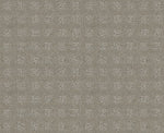 Load image into Gallery viewer, Shaw The Fair - Platinum Mist** (00550) - EA023-00550
