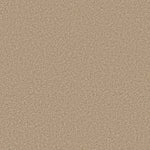 Load image into Gallery viewer, Shaw Ocean Pines 12' - Muslin (00102) - EA041-00102
