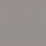 Load image into Gallery viewer, Shaw Loyal Beauty I - Sheer Silver (00500) - EA162-00500
