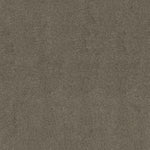 Load image into Gallery viewer, Shaw Loyal Beauty I - Grey Flannel (00501) - EA162-00501
