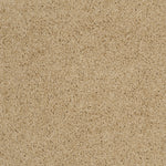 Load image into Gallery viewer, Shaw Loyal Beauty Ii - Mesa (00105) - EA163-00105
