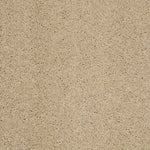 Load image into Gallery viewer, Shaw Loyal Beauty Ii - Beach Walk (00126) - EA163-00126

