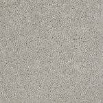 Load image into Gallery viewer, Shaw Loyal Beauty Ii - Sheer Silver (00500) - EA163-00500
