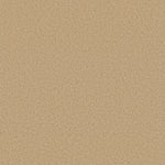 Load image into Gallery viewer, Shaw Loyal Beauty Iii - Blonde Cashmere (00106) - EA164-00106
