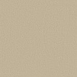 Load image into Gallery viewer, Shaw Loyal Beauty Iii - Pale Cream (00121) - EA164-00121
