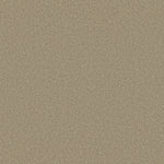Load image into Gallery viewer, Shaw Loyal Beauty Iii - Stucco (00129) - EA164-00129
