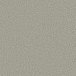 Load image into Gallery viewer, Shaw Loyal Beauty Iii - Sheer Silver (00500) - EA164-00500
