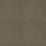 Load image into Gallery viewer, Shaw Loyal Beauty Iii - Grey Flannel (00501) - EA164-00501
