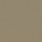 Load image into Gallery viewer, Shaw Loyal Beauty Iii - Driftwood (00700) - EA164-00700
