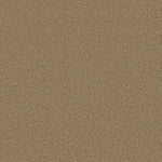 Load image into Gallery viewer, Shaw Loyal Beauty Iii - Twig (00702) - EA164-00702
