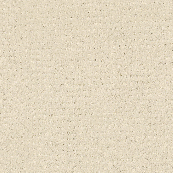 Loyal Beauty Pattern