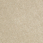 Load image into Gallery viewer, Shaw Inspiring - Dunes (00102) - EA508-00102
