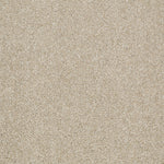 Load image into Gallery viewer, Shaw Inspiring - Frost (00104) - EA508-00104
