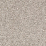 Load image into Gallery viewer, Shaw Inspiring - Mist (00112) - EA508-00112
