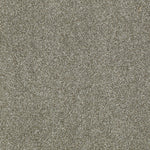 Load image into Gallery viewer, Shaw Inspiring - Silver Sage (00310) - EA508-00310
