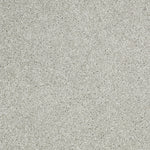 Load image into Gallery viewer, Shaw Inspiring - Sea Salt (00512) - EA508-00512
