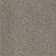 Pewter (00513)