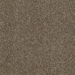 Load image into Gallery viewer, Shaw Inspiring - Townhouse (00704) - EA508-00704
